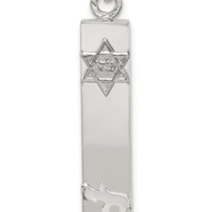 Sterling Silver 925 Mezuzah With Star of David And Chai Pendant