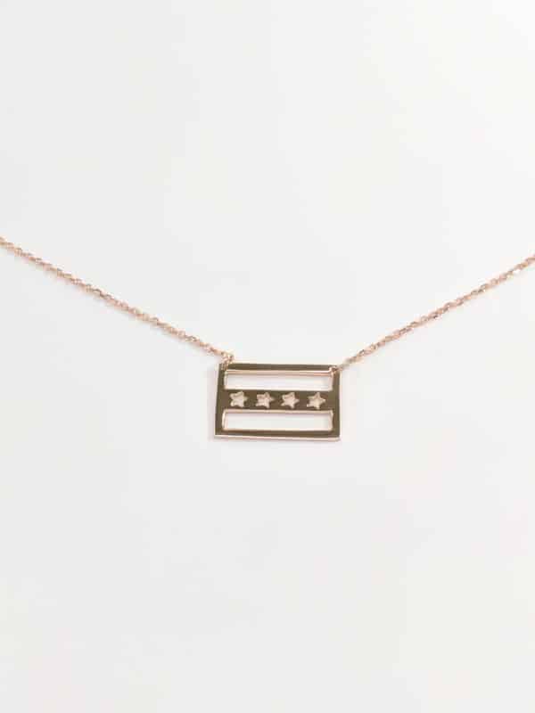 14KT Rose gold City of Chicago Flag pendant Necklace, White and yellow gold, My city necklace,